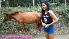 Afspelen Porno met een gekke vrouw neukt met een paard xxx dieren